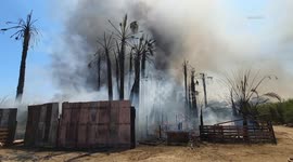 US, Bakersfield: Bakersfield Vegetation Fire Causes Significant Damage At Nursery