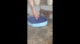 He’s Not a Pool Boy