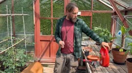 Head gardener reveals jobs for June - and the sweet pea mistake even veterans make