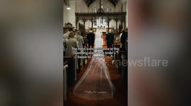 Pet tortoise joins wedding party as a groomsman - cruises down aisle in mini Audi
