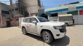 Israel releases 12 more captives from Gaza after months of starvation, torture (2)