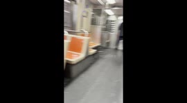 Fare Evasion on the BSL Has Gone Too Far!