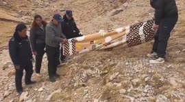 Seriously injured snow leopard cub remarkably recovering in northwest China