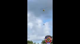 Zebra on the Run Safely Rescued by Helicopter Team