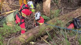 Pet Labrador rescued from mine shaft in Australia