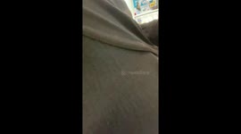 Toddler wears ball under her dress to copy pregnant mother