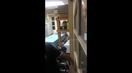 Wild monitor lizard rampages through restaurant's kitchen