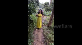 Sri Lanka: Elephant throws a stick