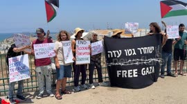 Israel: Protesters rally at Ashdod Port after Israeli raid on Gaza aid boat