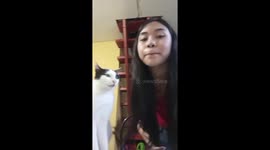 Cat bites owner after weird face pose in Tagum, Philippines