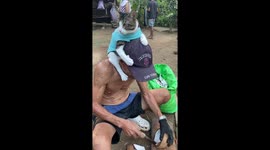 Clingy cat refuses to let go while owner works in Nabunturan, Davao de Oro, Philippines