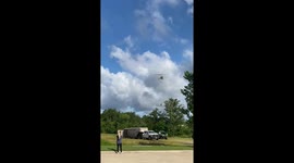 Runaway zebra’s weeklong adventure ends as it's airlifted to safety