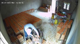 Man drops tray of eggs while turning in Gutiérrez, Cundinamarca, Colombia
