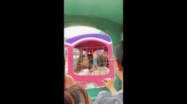 Group's prank backfires during train ride in Lipa, Batangas, Philippines