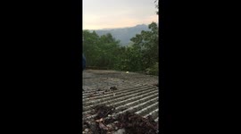 Resident falls through tin roof while doing DIY repairs