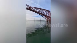 Incredible moment dolphin swims alongside eFoiler