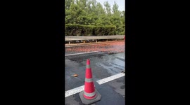 Thousands of goldfish spill onto road when truck overturns in China