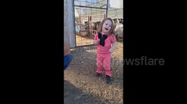 Kosovo: Littlr girl 2 years old named Dea playing with goat