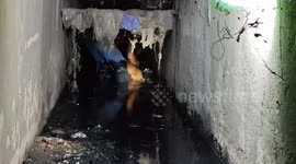 Street dog rescued from sewer in Myanmar