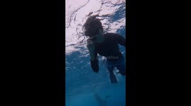 Tourist whacks his head on shark's belly while snorkelling in the Maldives