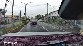 Escaped herd of horses trot along road in Taiwan