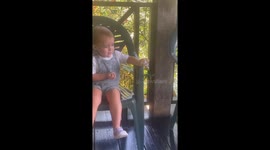 Hummingbird hovers near child before bird lands on lap in Montego Bay, Jamaica