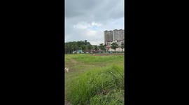 Muddy dog gives innocent look after getting dirty in Sichuan, China