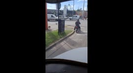 Dog Orders an Ubermoto
