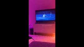 While I’m watching the most romantic scene from The Notebook, my two cats decide it’s the perfect time to start a dramatic fight in front of the screen. The timing is hilariously chaotic!