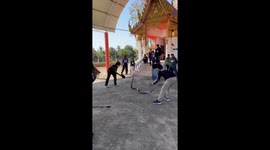 Rescuers show how to safely catch cobra