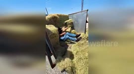 US: Hidden In Hay Bales Two Immigrants Found In Smuggling Attempt Stopped By Texas DPS