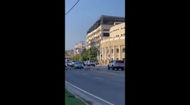 Flock of geese and goslings cross the road in Echo Park, Los Angeles