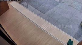 Excited pet dog crashes through glass patio door