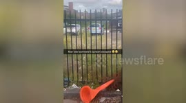 Runaway bull causes chaos on the streets of Birmingham, UK