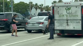Florida man gets out at busy intersection to save a family of ducks from heading into traffic