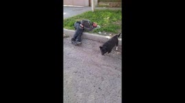 Protective pup guards owner on the street in Rostov-on-Don, Russia