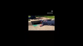 Firefighters Rescue Skittish Dog From Texas Storm Drain