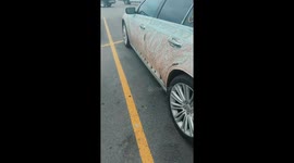 Bougie Blingy Butterfly Car