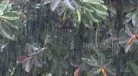 China: Parts of China's coastal regions to experience heavy storms as this year's first typhoon approaches