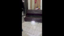 Failing to Catch a Mouse