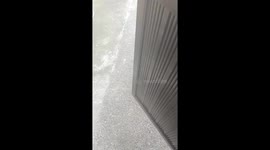 Pet Labrador loves barking at deliverymen