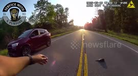 US: Turtle Rescued From Busy Ohio Highway By Quick-Thinking Trooper