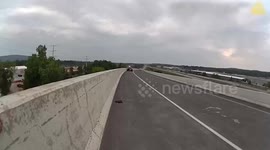 Seven Ducklings Rescued From Highway Overpass in Wausau, Wisconsin