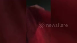 Egypt: Protest Erupts at Cairo Airport Over Blocked Gaza Aid Convoy