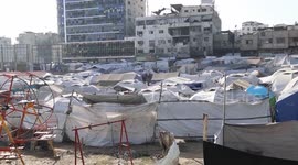 Palestinian death toll in Gaza rises to 55,104