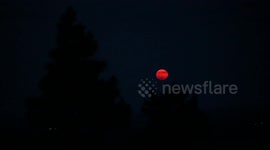Hungary: Strawberry moon illuminates night sky over Hungary's Satoraljaujhely