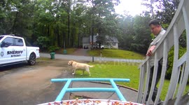 Husband Leaves Message For Wife On Bird Feeder Camera