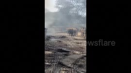 India: Air India plane with 242 people onboard crashes in Gujarat state