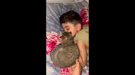 Clingy cat refuses to leave child’s side in Bandar Anzali, Iran