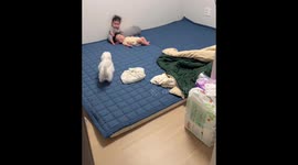 Puppy barks at chill twins in the corner in Seoul, South Korea